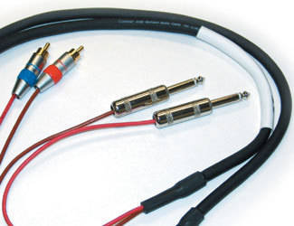 10 Foot Unbalanced Dual RCA - Dual 1/4 Cable